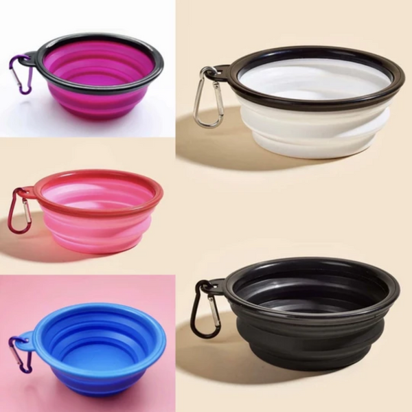 Collapsible Pet Bowl