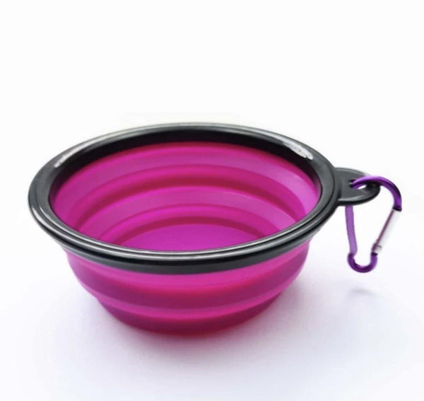 Collapsible Pet Bowl - PAWsome Creations VI